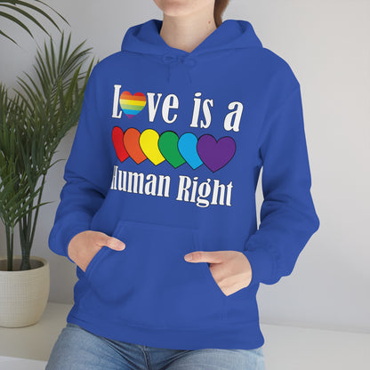 Love is a Human right Hoodie