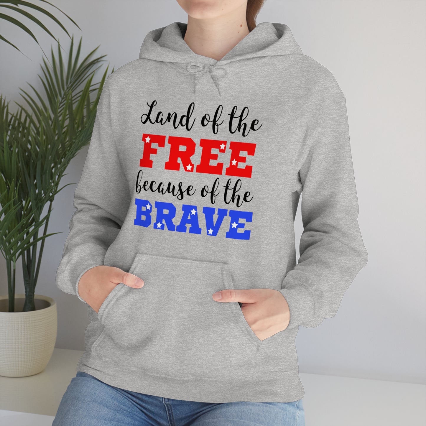 U.S.A. the Land of the free Hoodie