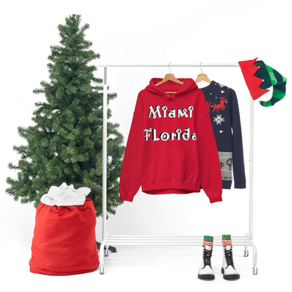 Miami Florida Graffitty Hoodie