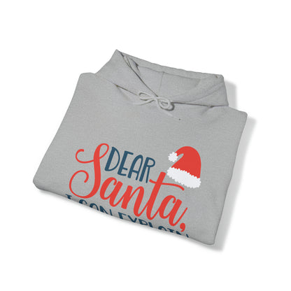 Dear Santa I Can explain Christmas Hoodie