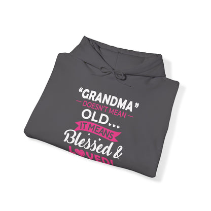 Grandma doesn't means old means blessed Hoodie