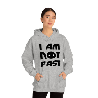 i am not fast 1 Hoodie