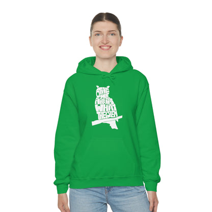 The Owls Are Not What They Seem Hoodie