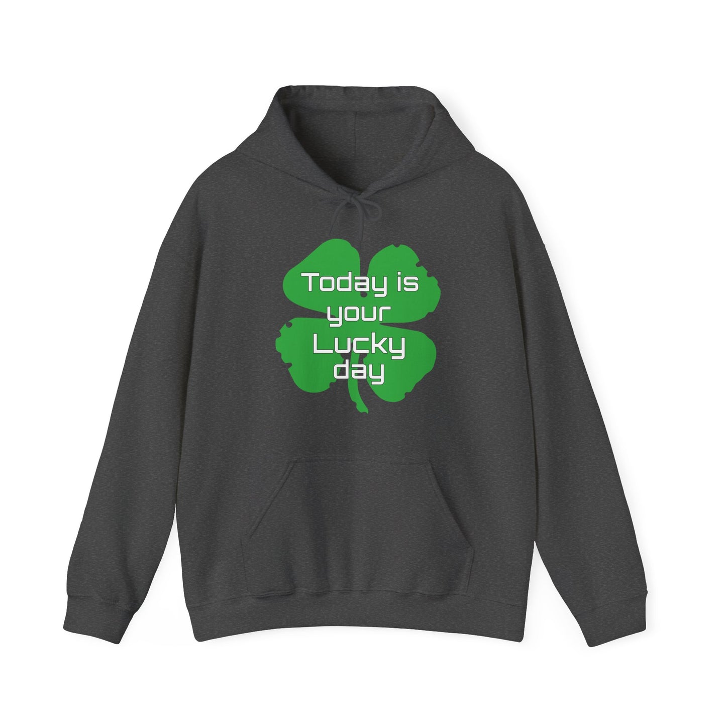 Today is your lucky day Hoodie