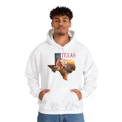 Beautiful Texas Hoodie