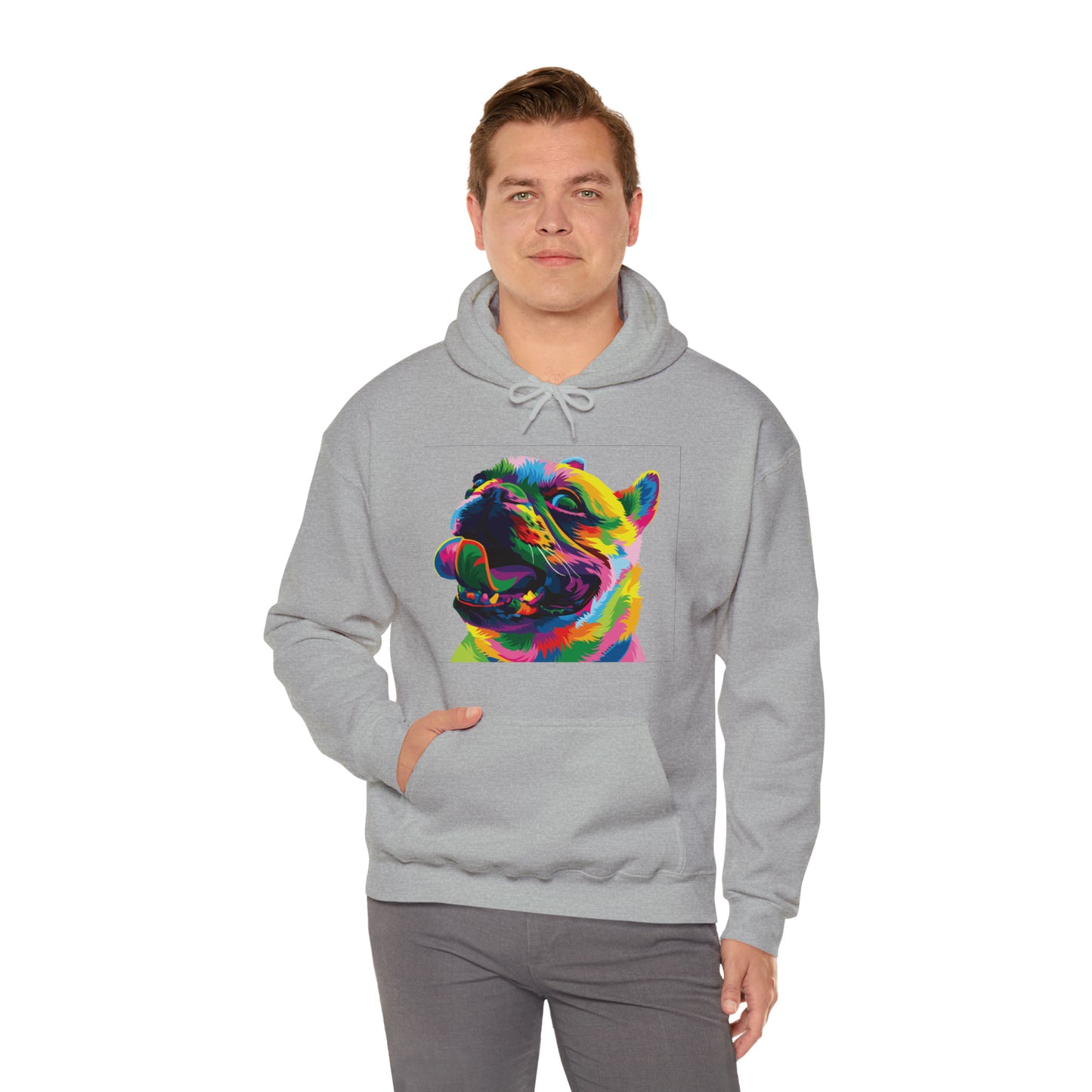 Colorful Dog Hoodie