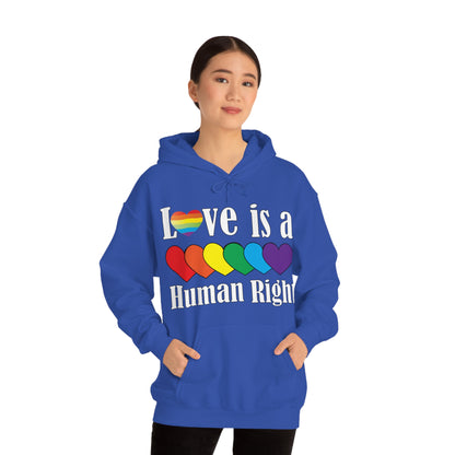 Love is a Human right Hoodie