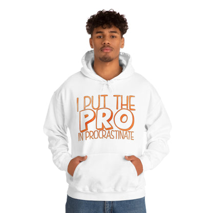 I Put the PRO in Procrastinate Hoodie