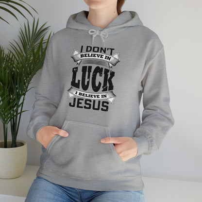 I believe in Jesus Hoodie