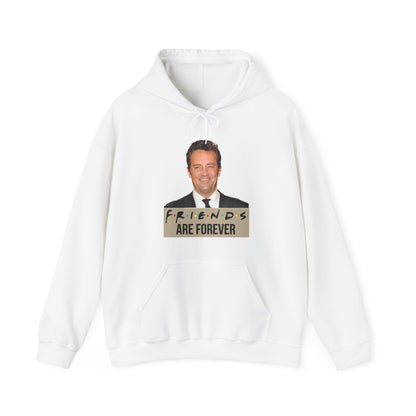 Friends are forever Hoodie