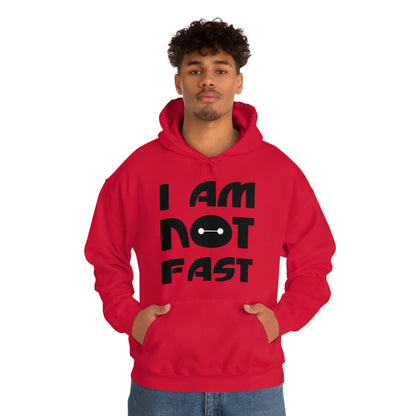 i am not fast 1 Hoodie