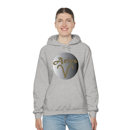 Aries Hoodie Hoodie