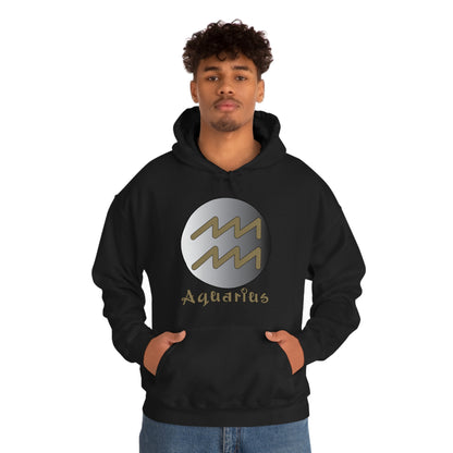 Aquarius Hoodie