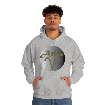 Aries Hoodie Hoodie