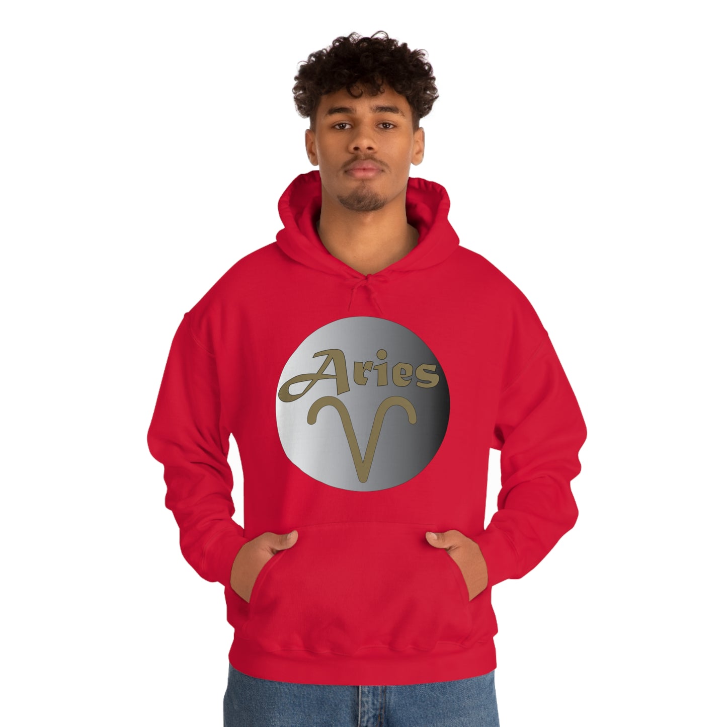 Aries Hoodie Hoodie