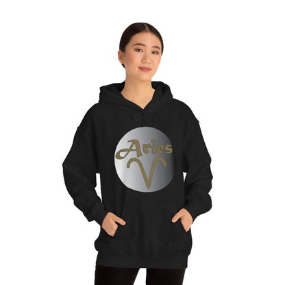 Aries Hoodie Hoodie