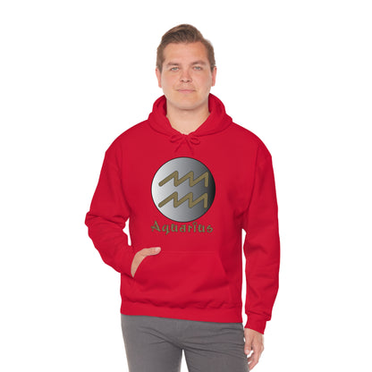 Aquarius Hoodie