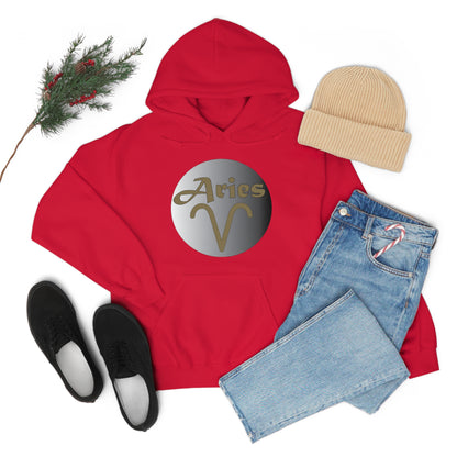 Aries Hoodie Hoodie