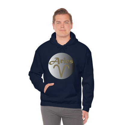 Aries Hoodie Hoodie