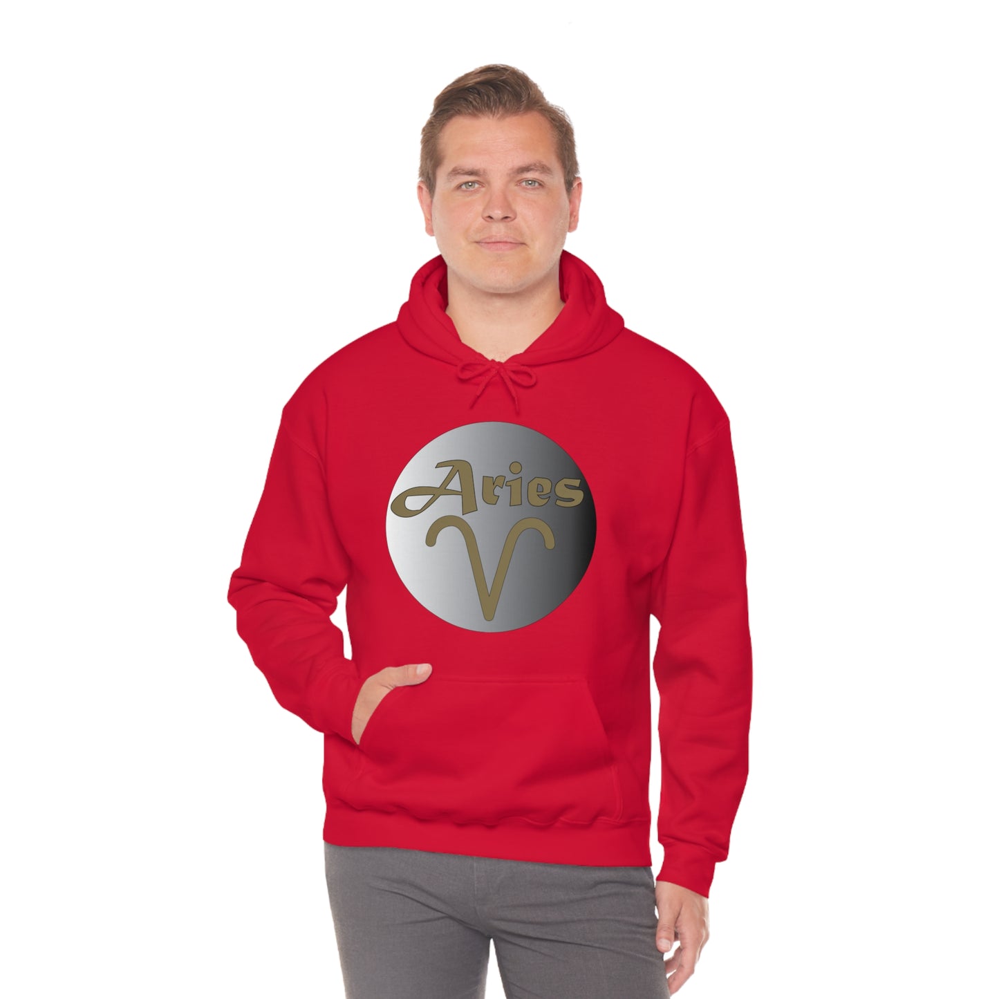 Aries Hoodie Hoodie