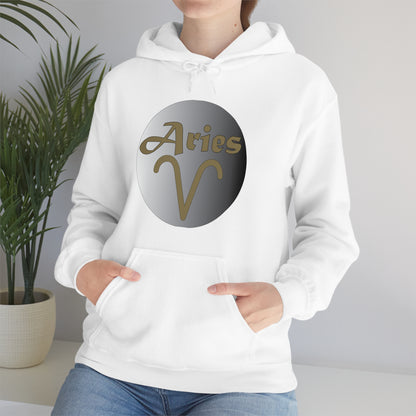 Aries Hoodie Hoodie