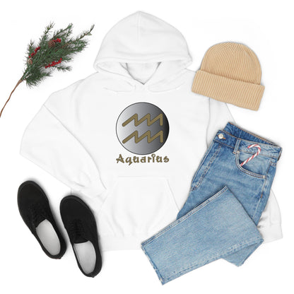 Aquarius Hoodie