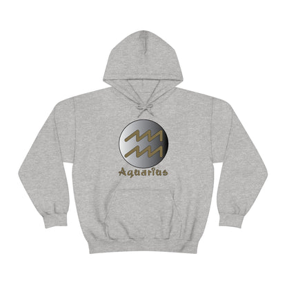 Aquarius Hoodie