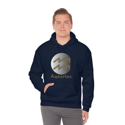 Aquarius Hoodie