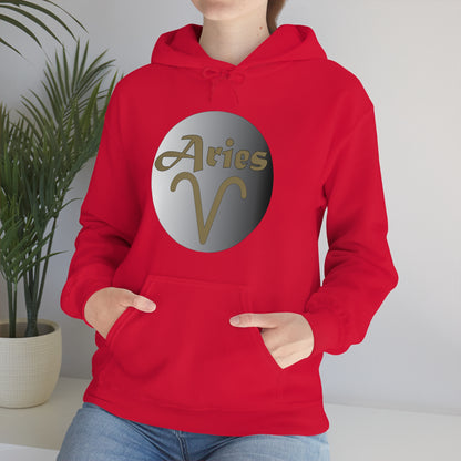 Aries Hoodie Hoodie