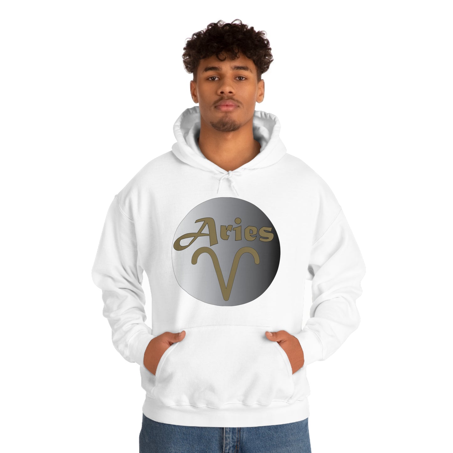 Aries Hoodie Hoodie