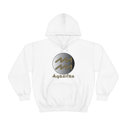 Aquarius Hoodie