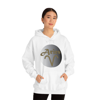 Aries Hoodie Hoodie