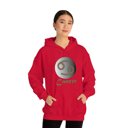 Cancer Hoodie