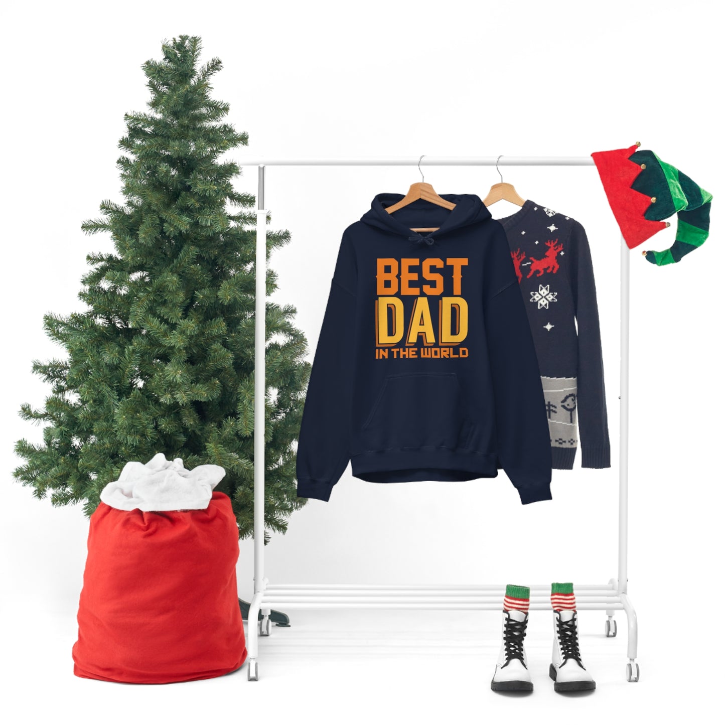 Best Dad in the world Hoodie