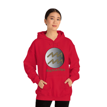 Aquarius Hoodie