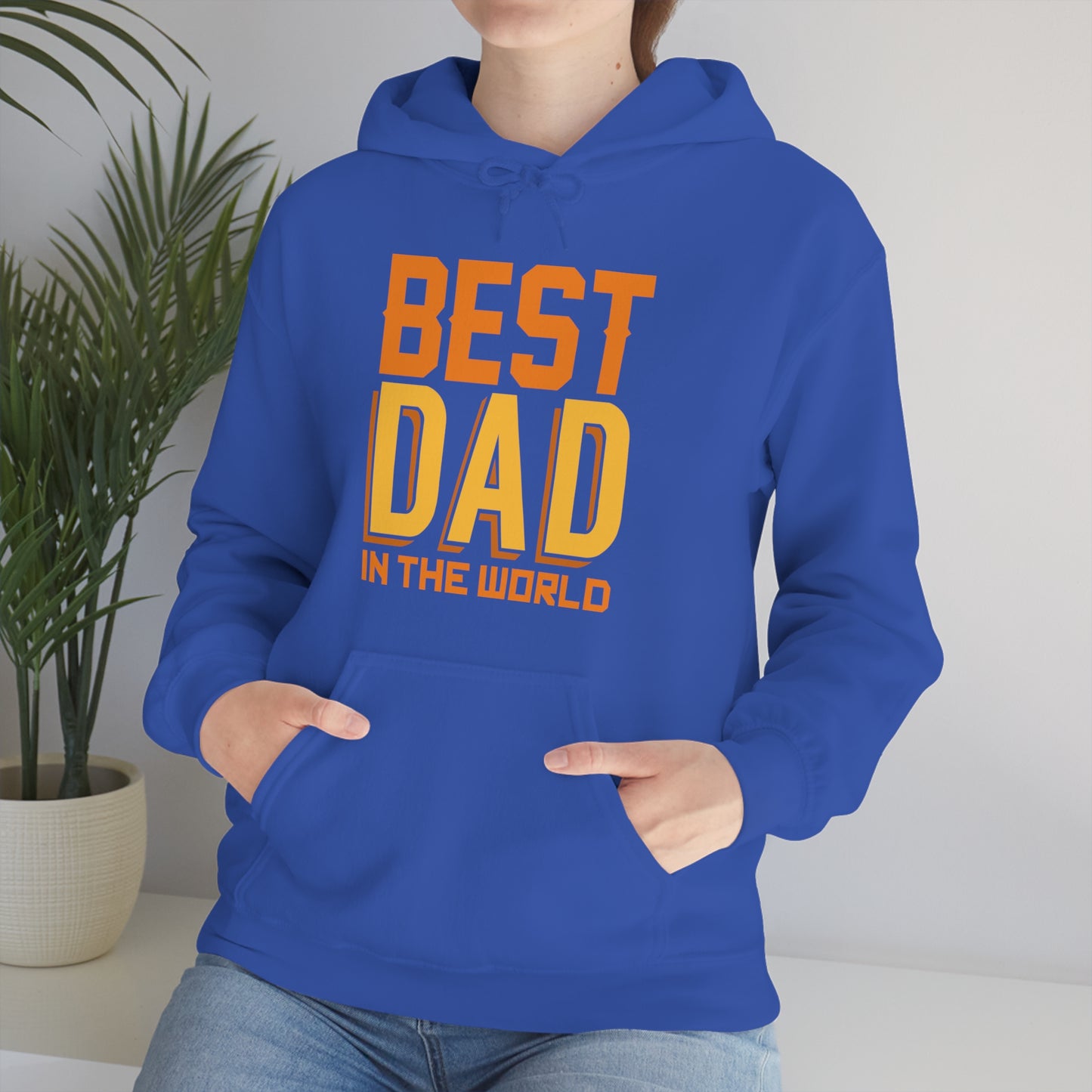 Best Dad in the world Hoodie