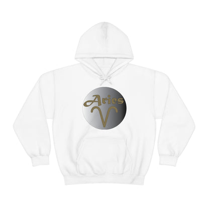 Aries Hoodie Hoodie