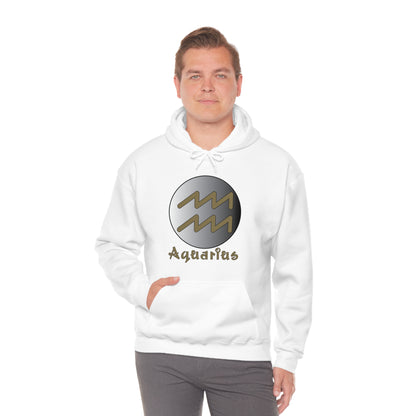 Aquarius Hoodie