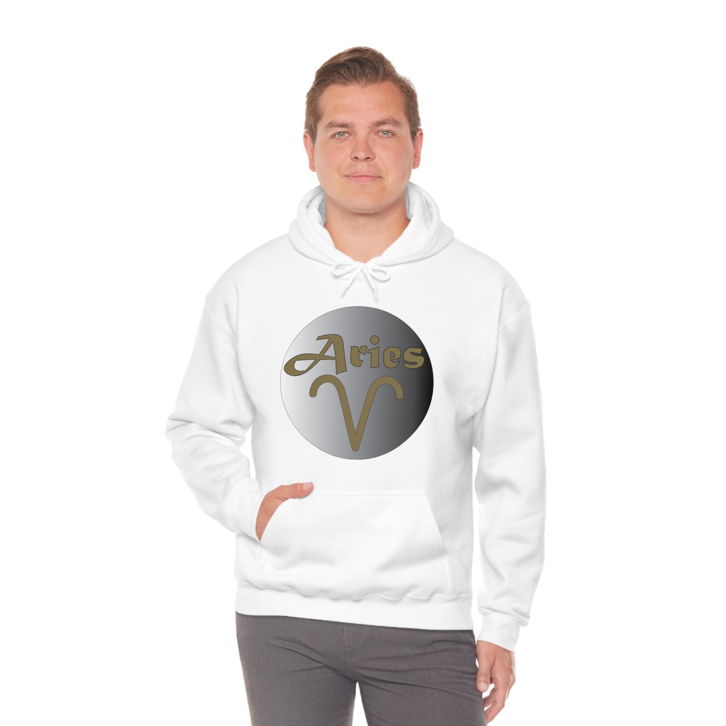 Aries Hoodie Hoodie