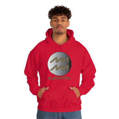 Aquarius Hoodie