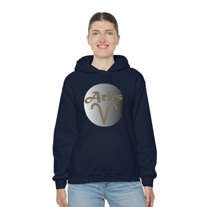 Aries Hoodie Hoodie