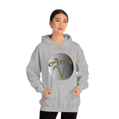 Aries Hoodie Hoodie