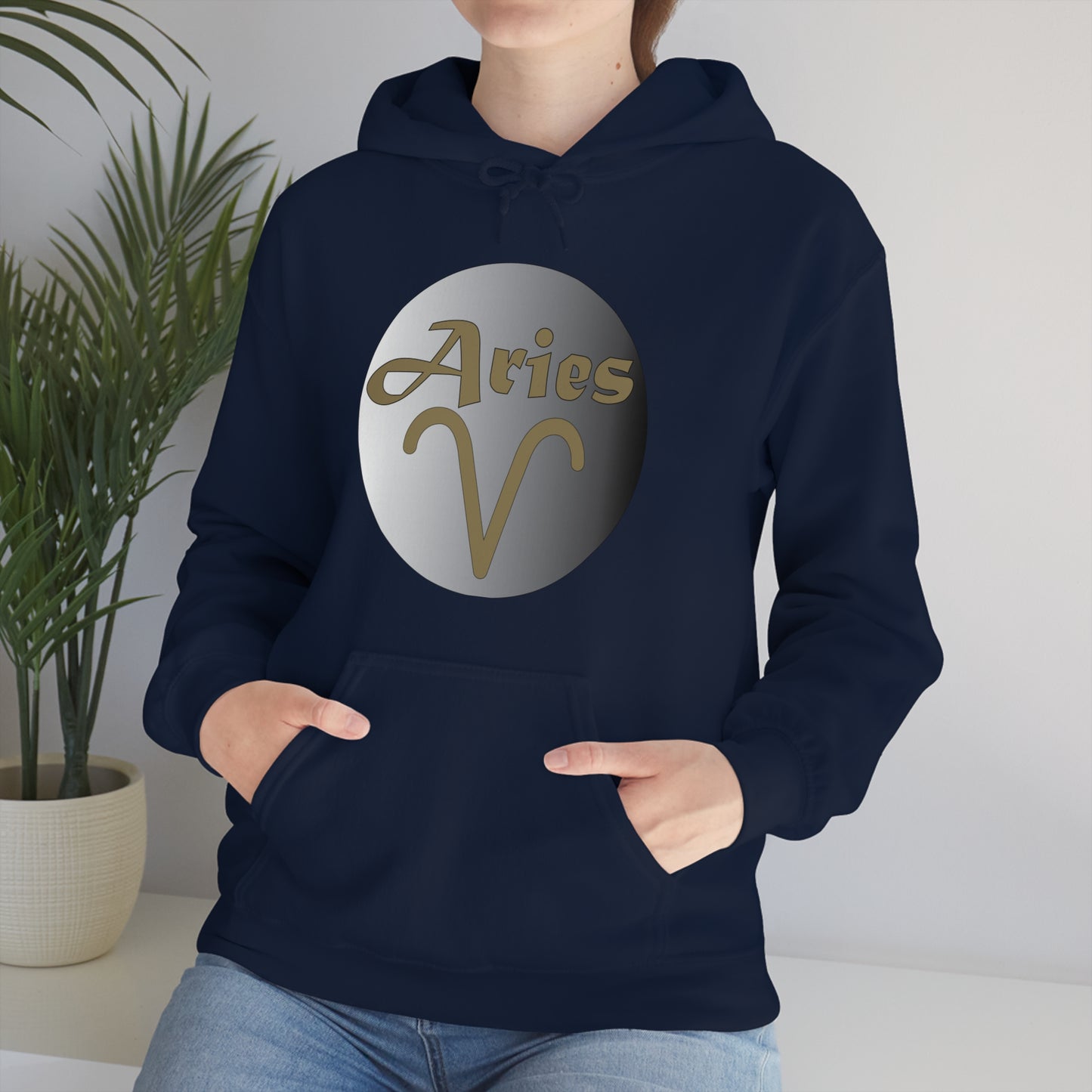 Aries Hoodie Hoodie