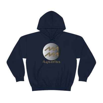 Aquarius Hoodie