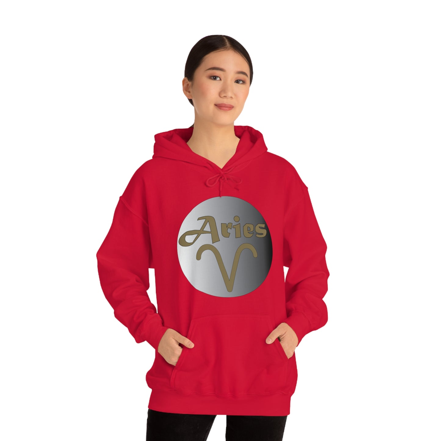 Aries Hoodie Hoodie